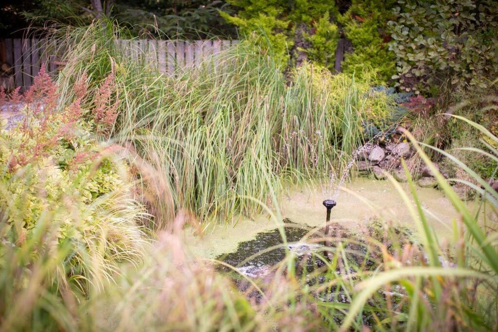 Villa Calm Scottish Country Escape With Hot Tub Sleeps 6 Inverness Exterior foto